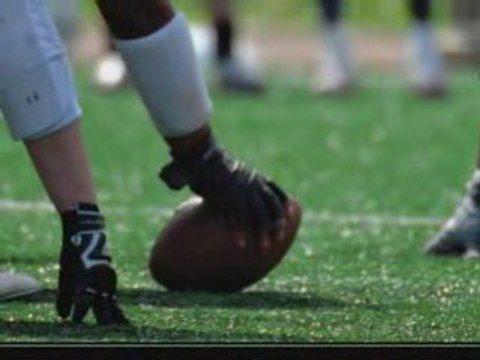 Les patriotes riedisheim