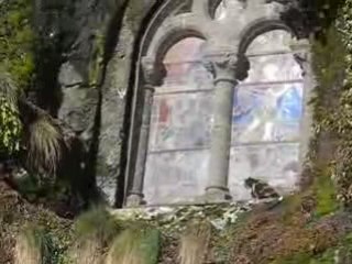 Fontanges : chat vitrail