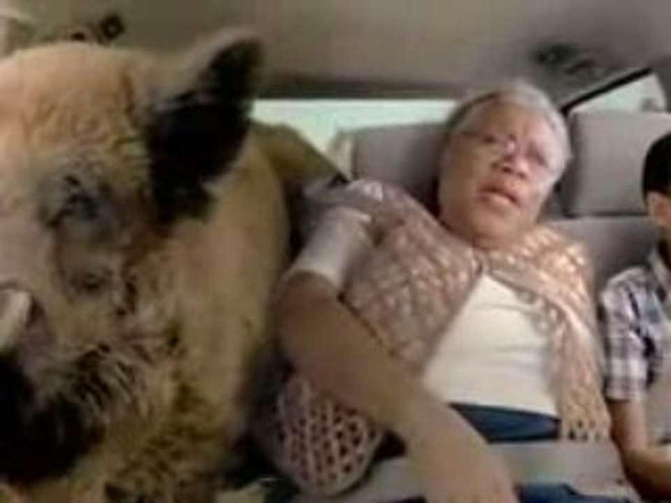 Vídeo da Pedigree no Super Bowl 2009