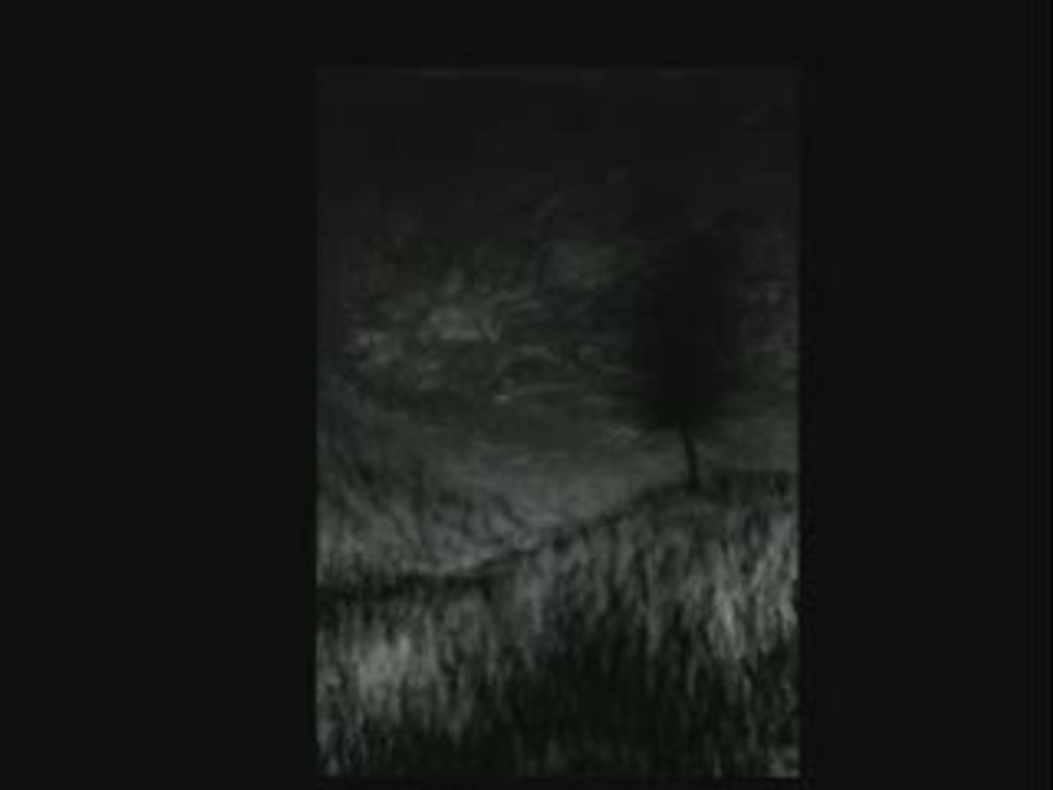 essai tempete