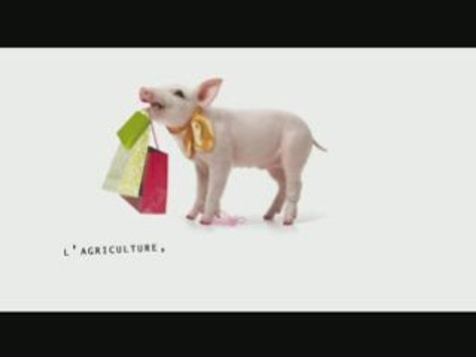 L'agriculture, des métiers à la mode - La Cochonne