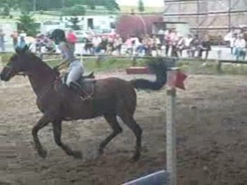 prélet avec ma puce