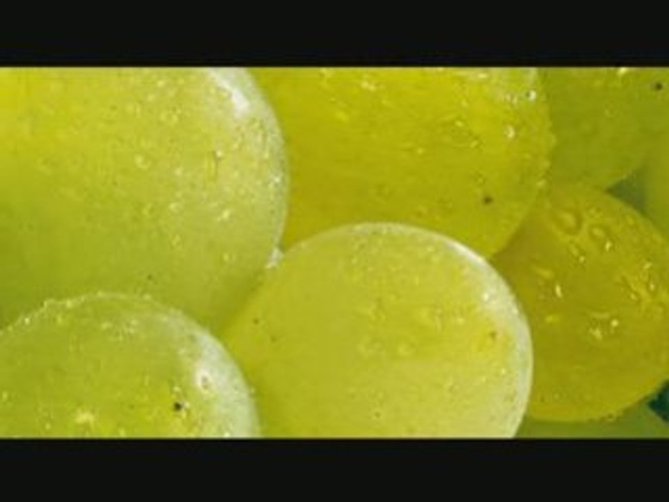 L'agriculture, des métiers à la mode - 6 spots enchaînés