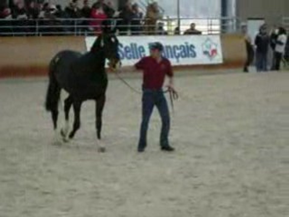 balthazar