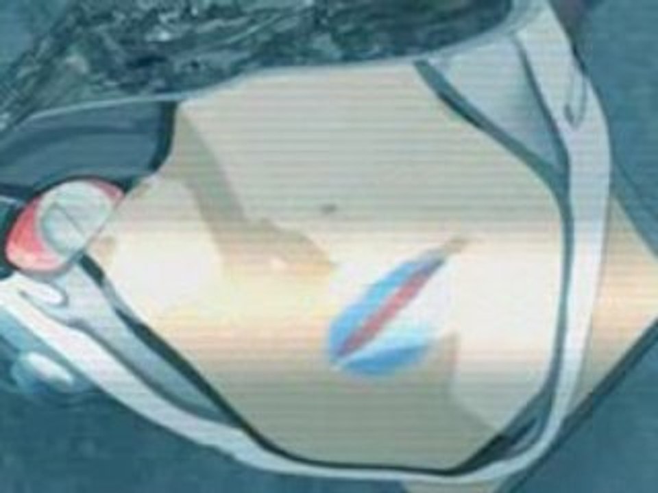 [Snowcrash] Appleworld
