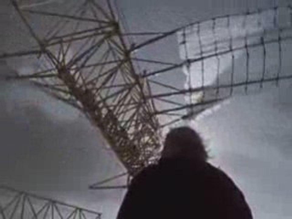 Theo Jansen - Kinetic Sculptor