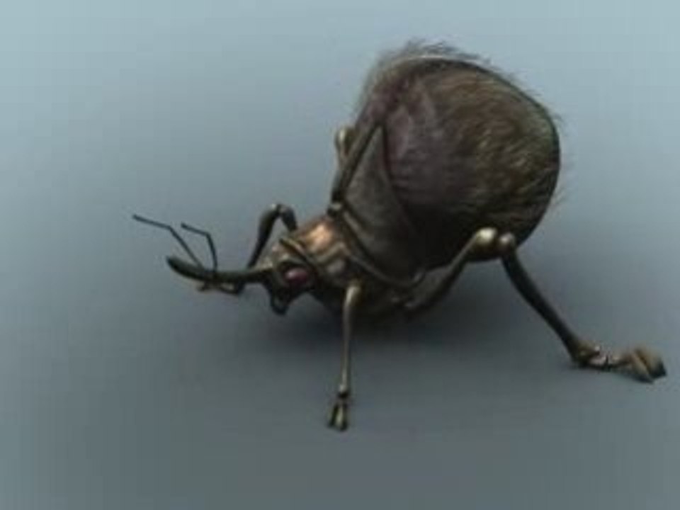 Turn_around_insecte_1