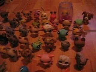 suite du concert de belle