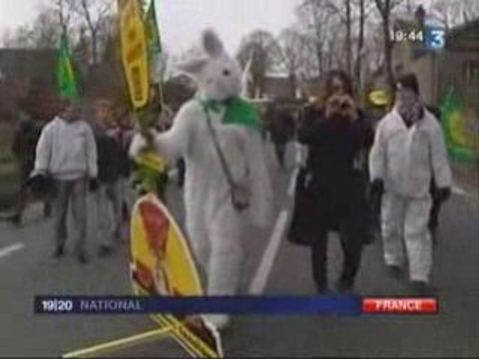 Gruny à mortain ... 31 janvier 2009