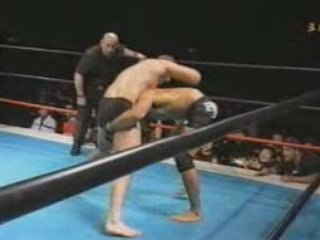 Fedor Emelianenko vs Ricardo Arona - Part 2