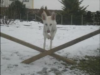 Séance d'obr dans la neige!