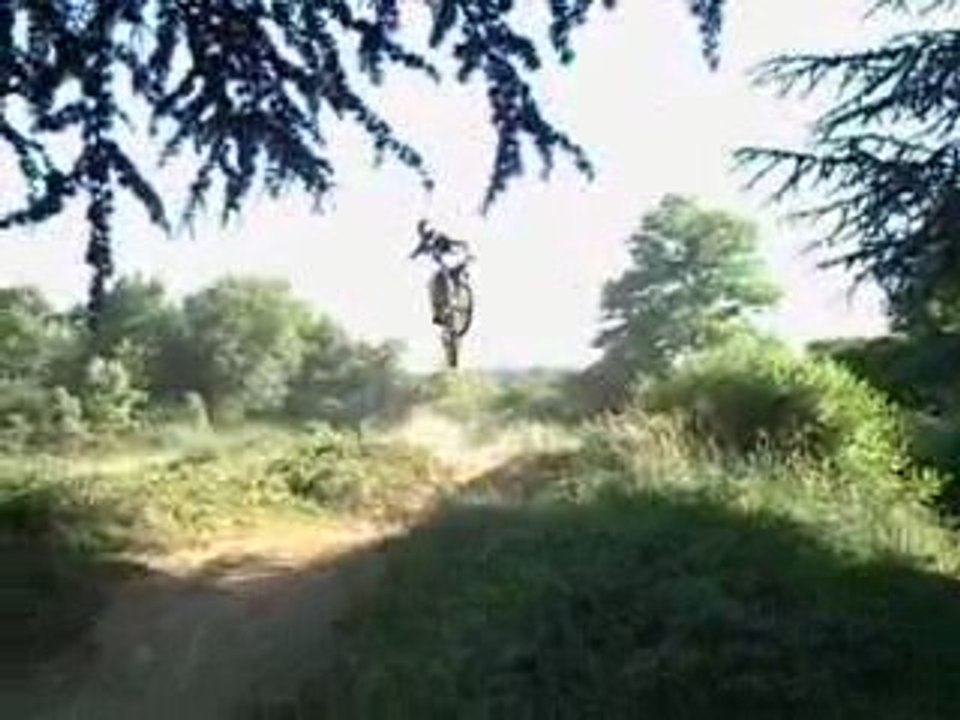 Riderdelest en YZ