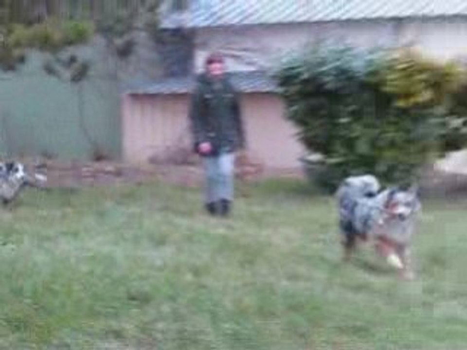 Balade entre Border & Australiens