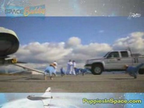 BRING ON THE PUPPIES - New Space Buddies Clip