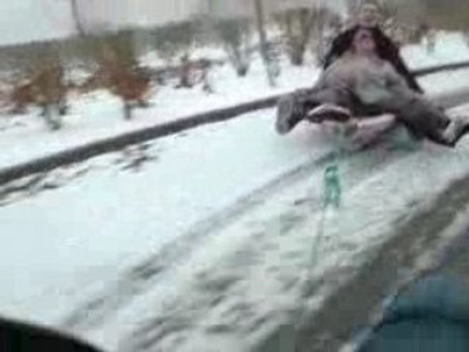 regis fait du traineau