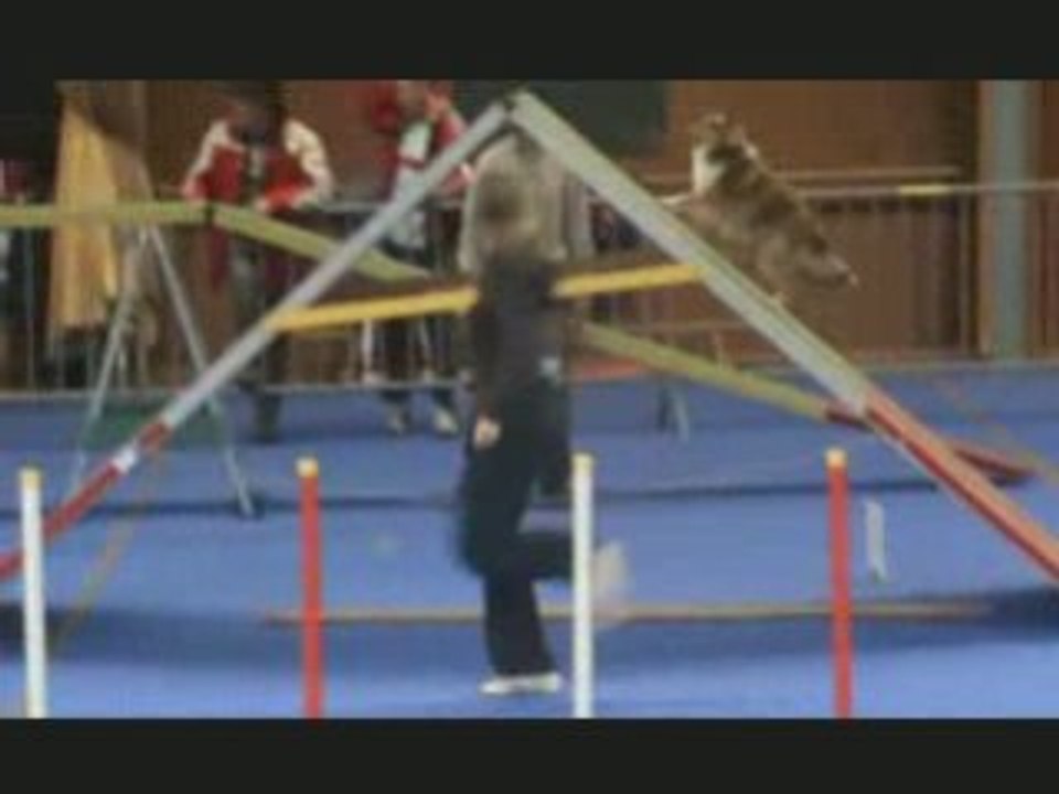 Concours de Lutterbach