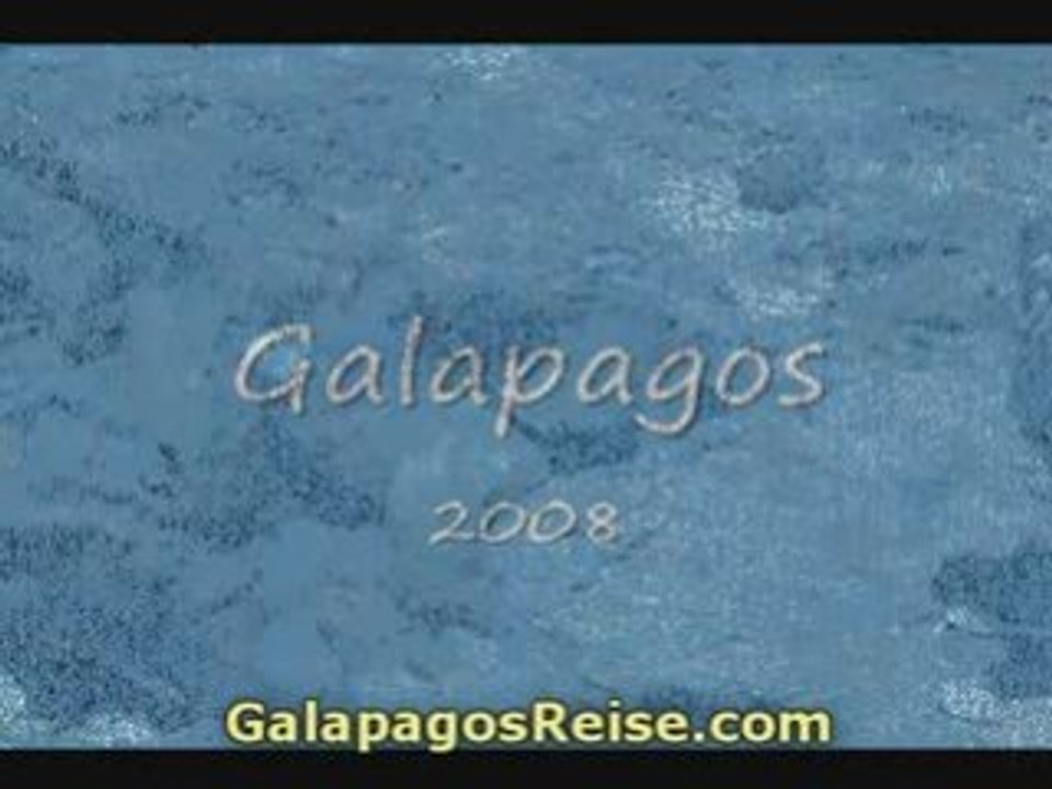 22 Animals Nature Galapagos Darwin Islands