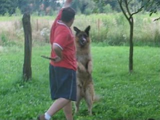 Wakacje na wsi.