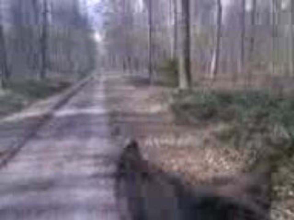 Vidéo0004