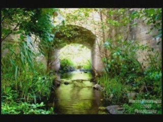 Upływa szybko życie