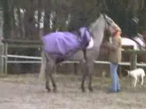 Concours dressage Andilly