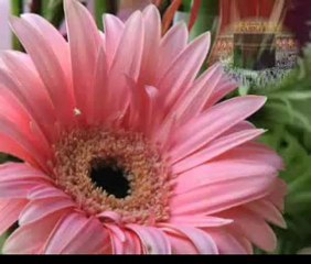 Sami Youssef - Who is the loved one - Vidéo clip