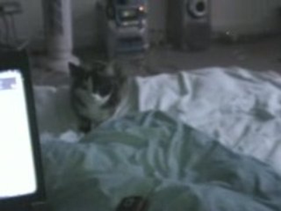 Sookie