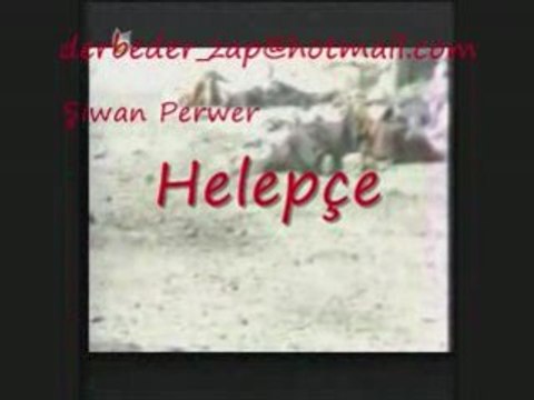 Şiwan Perwer Helepçe derbeder_zap
