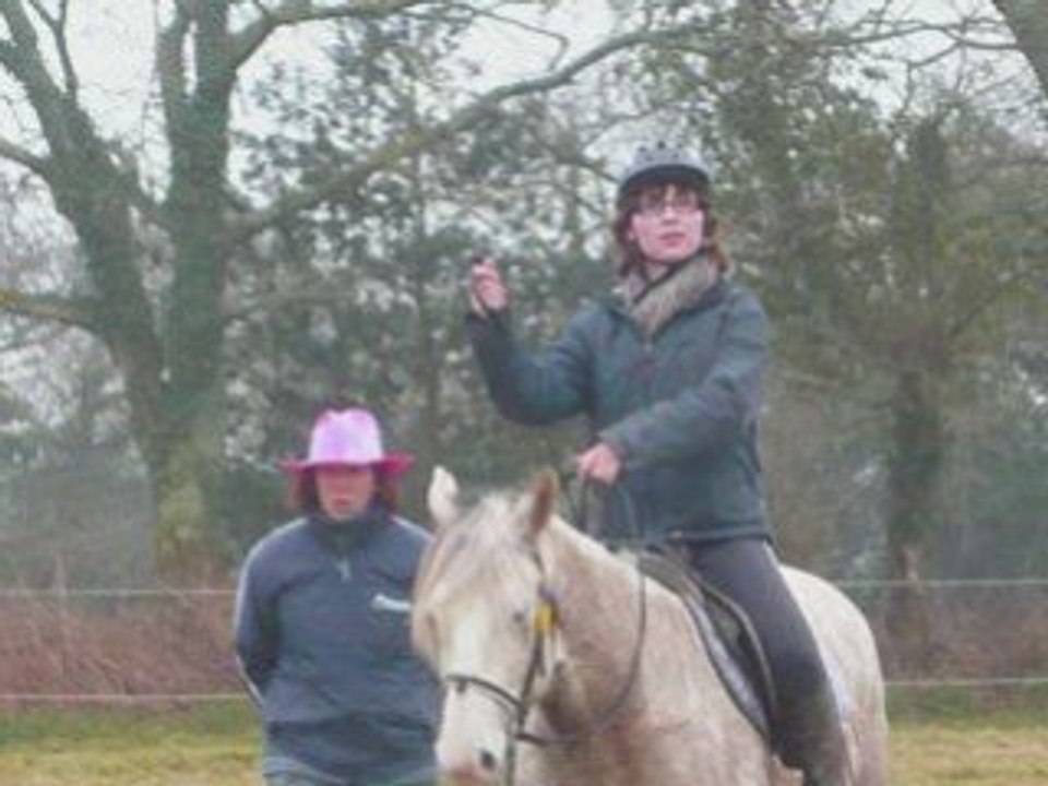 Cheval du 31 janvier