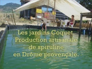 Production de Spiruline en Drôme, France