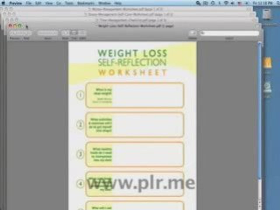 How-To-Use-PLR-Content-Worksheets.mp4.mp4