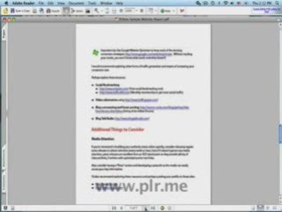 PLR.me-Comprehensive-Website-Analysis-Report.mov.mp4