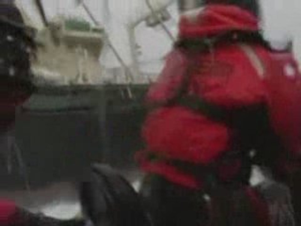 Antarctic whaling protest