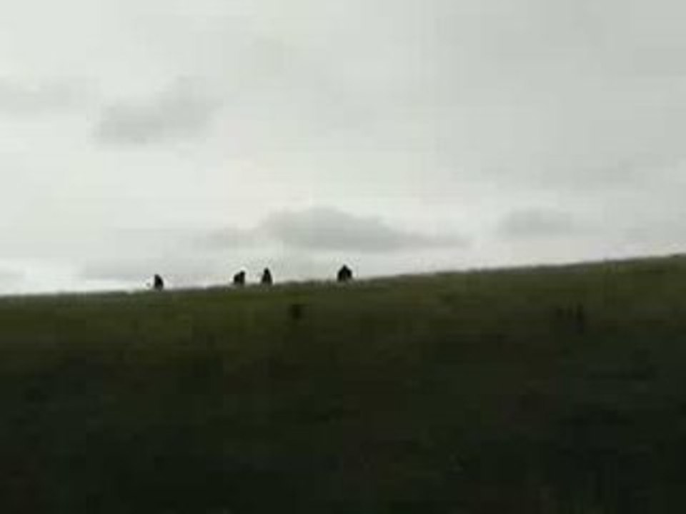 Humains - Teaser