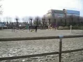 Stage  CSO [31-01-09]