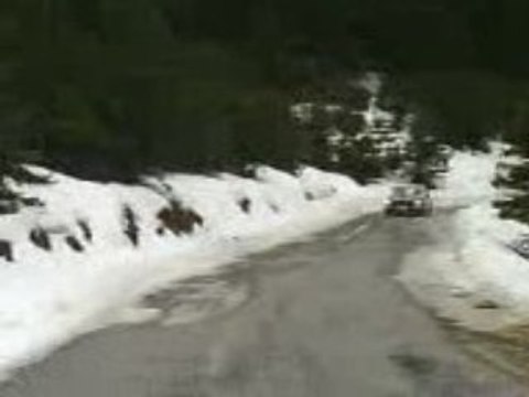 RALLY MONTE-CARLO HISTORIQUE 2009 LABOREL