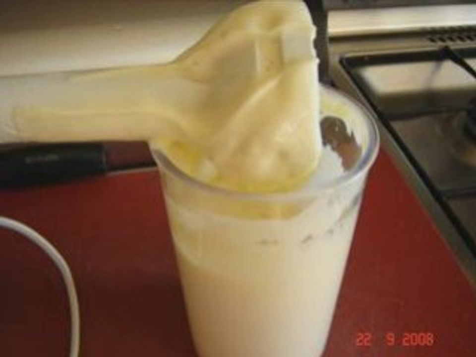 Mayonnaise rapide