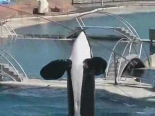 Avant...: Un aperçu mystérieux