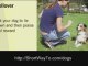 Home dog training lessons: how to train a dog video course