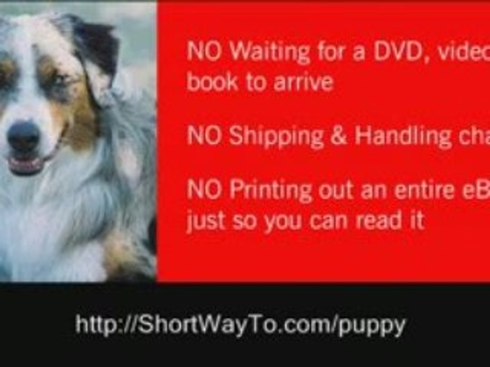 How to train puppies new puppy training crate potty ...