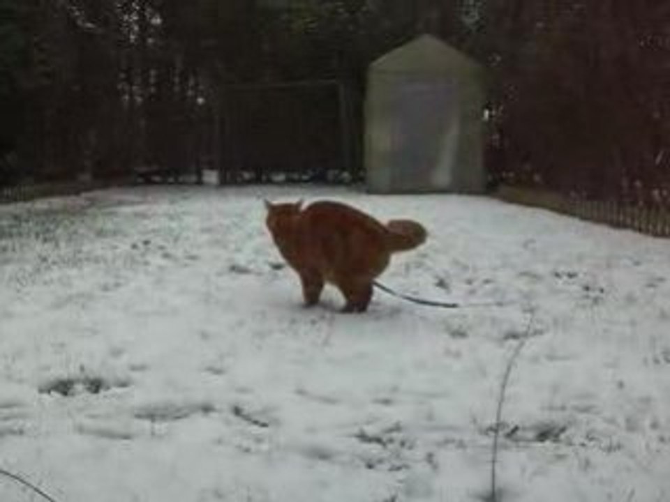 jeux de neige
