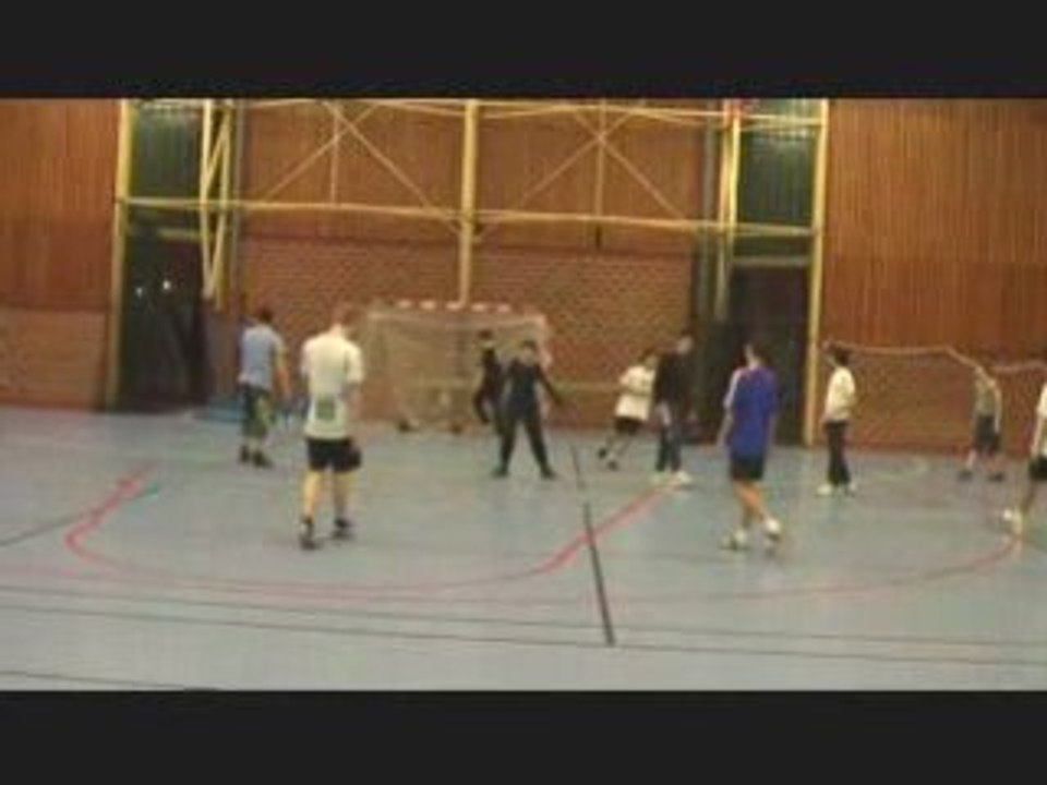 Section Handball