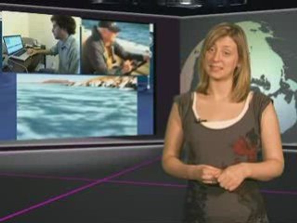 YouNews - Snow Tweets