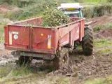 Massey Ferguson 4260