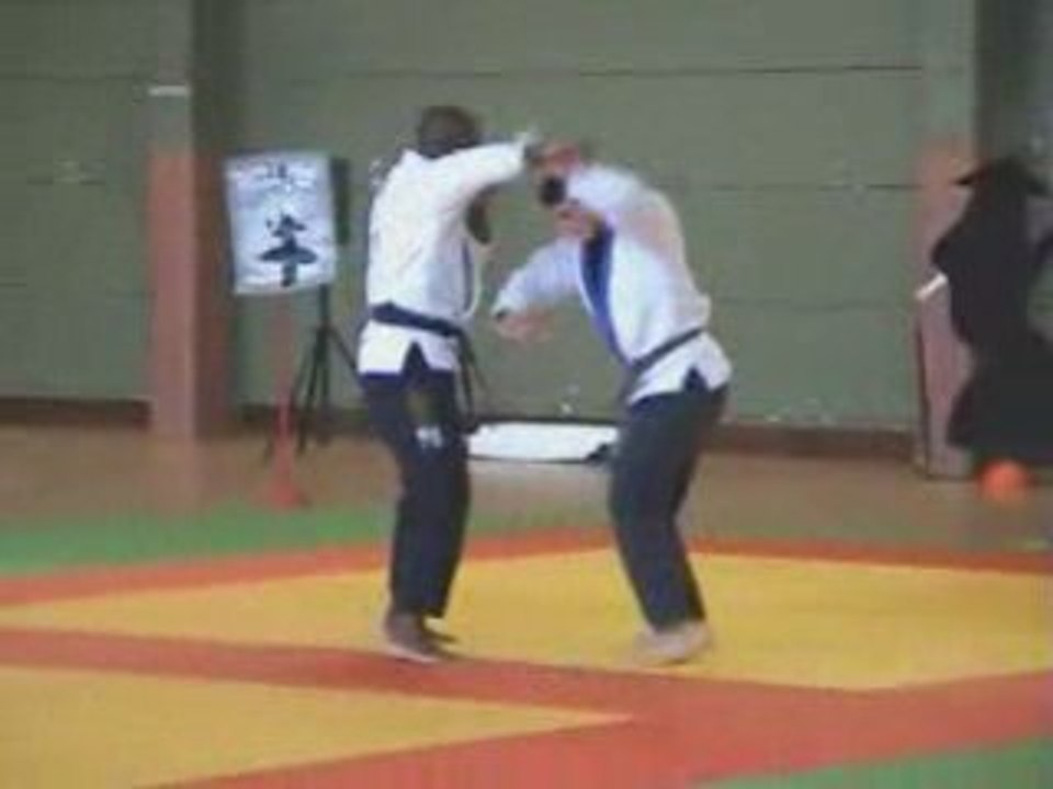 DEMO BUGEI Festival des Arts Martiaux d'AVON (77)