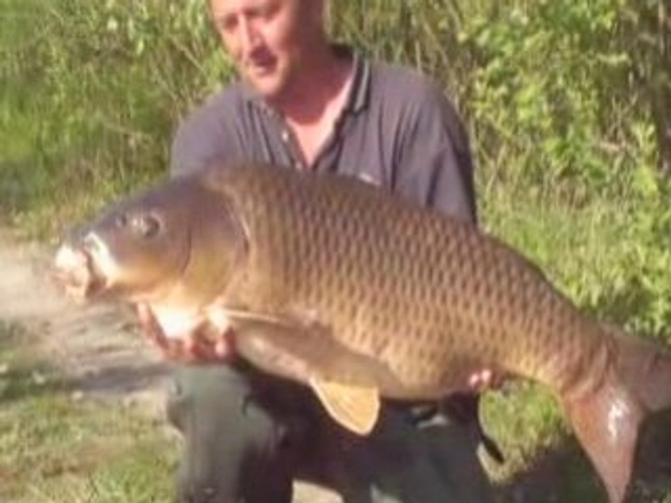 DE BEAUX POISSONS !!!!!