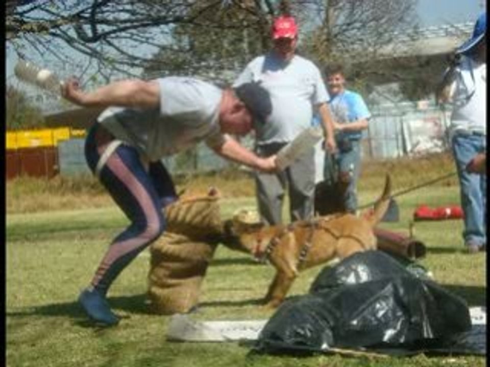 Séminaire de Marc Villain au Mexique Janvier 2009