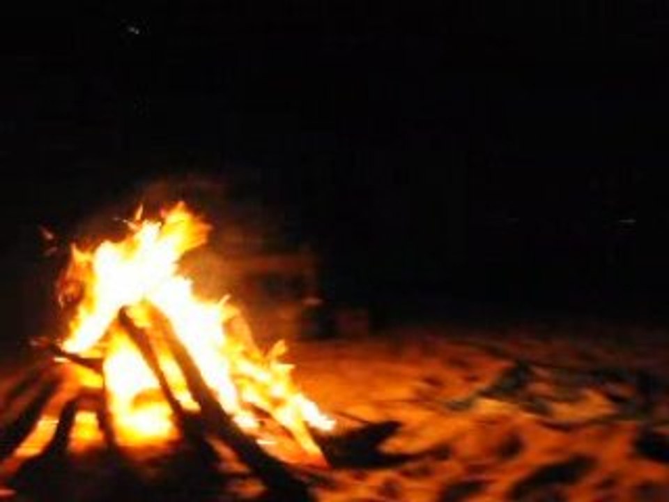 Beach Party