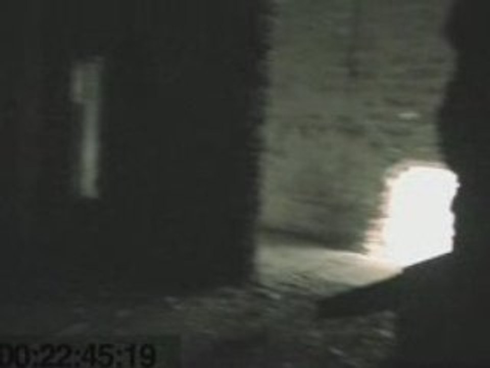 LAB Fondation : pub virale Web