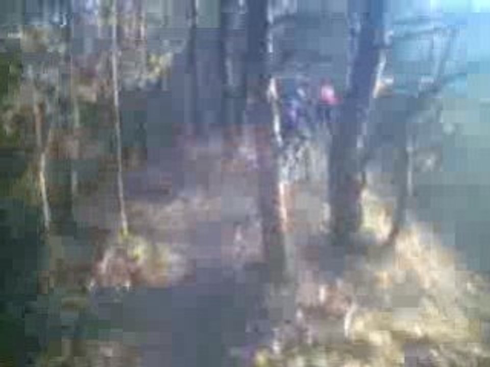 Hivernale Larchant 2009 - pour la vue